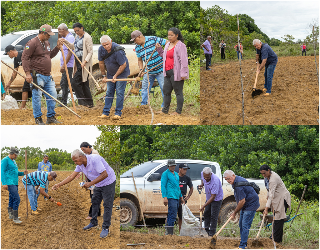 PROGRAMA QUINTAL PRODUTIVO